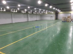 700平米水果冷庫造價(jià)多少，0-5℃保鮮庫建造一平價(jià)格