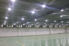 -18℃海魚冷凍庫(kù)需要多少錢，2000平低溫海帶冷庫(kù)造價(jià)