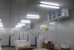 大型2-8℃試劑冷庫(kù)醫(yī)藥冷庫(kù)建設(shè)，體外診斷試劑冷庫(kù)