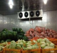 50噸蔬菜保鮮庫(kù)決定造價(jià)的因素有哪些？