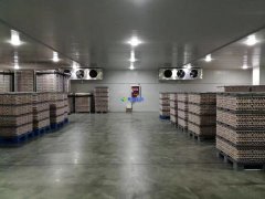 安裝1300噸水果冷藏庫預算是多少？后期用電能耗大嗎？