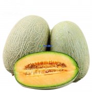 哈密瓜在保鮮庫可以儲存多久，儲存溫度是多少？