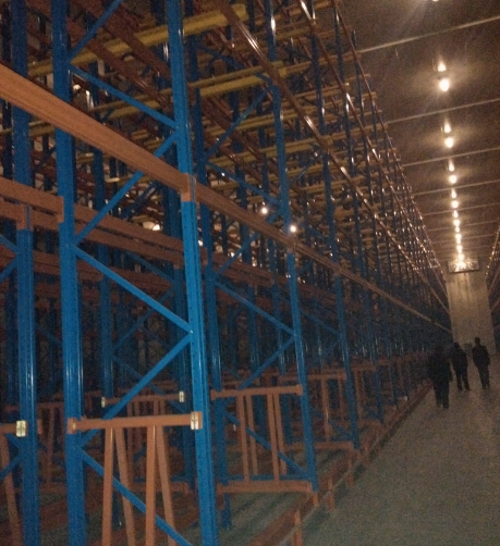 7000平生鮮水果冷庫建設(shè)方案，冷庫怎么設(shè)計(jì)報(bào)價(jià)？