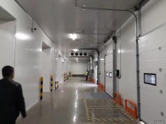 食品批發(fā)冷庫造價及規(guī)劃、食品保鮮、冷凍庫加工廠庫建造