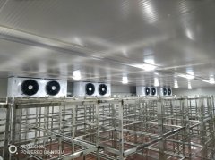 冷凍庫造價一平米價格怎么算？凍庫一立方的造價是多少錢