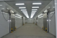 快速制冷、速凍冷庫每立方米造價(jià)多少